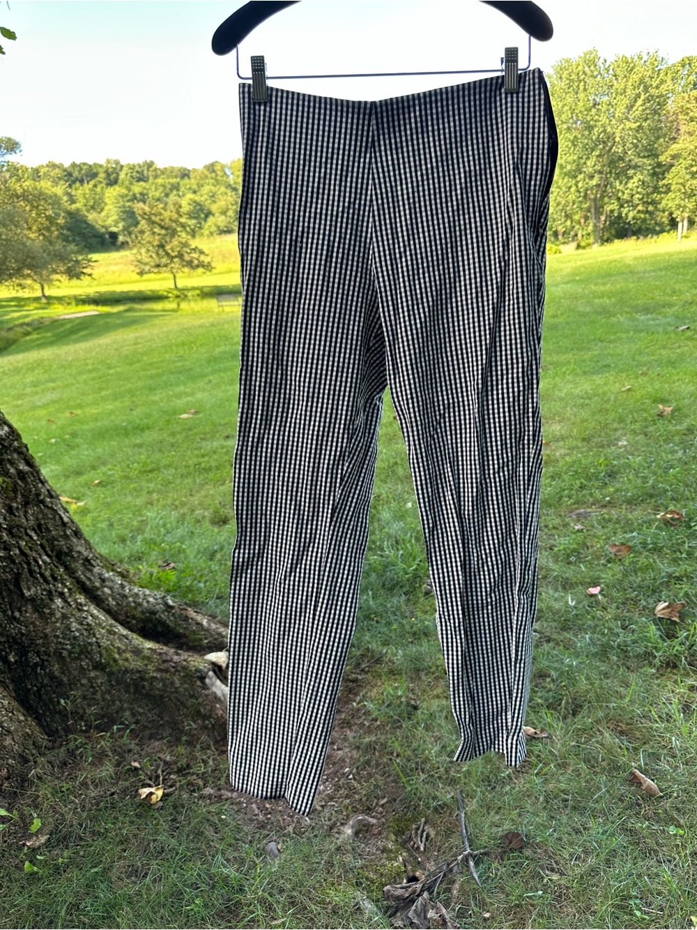 a new day Black & White Gingham Cropped Ankle Pants